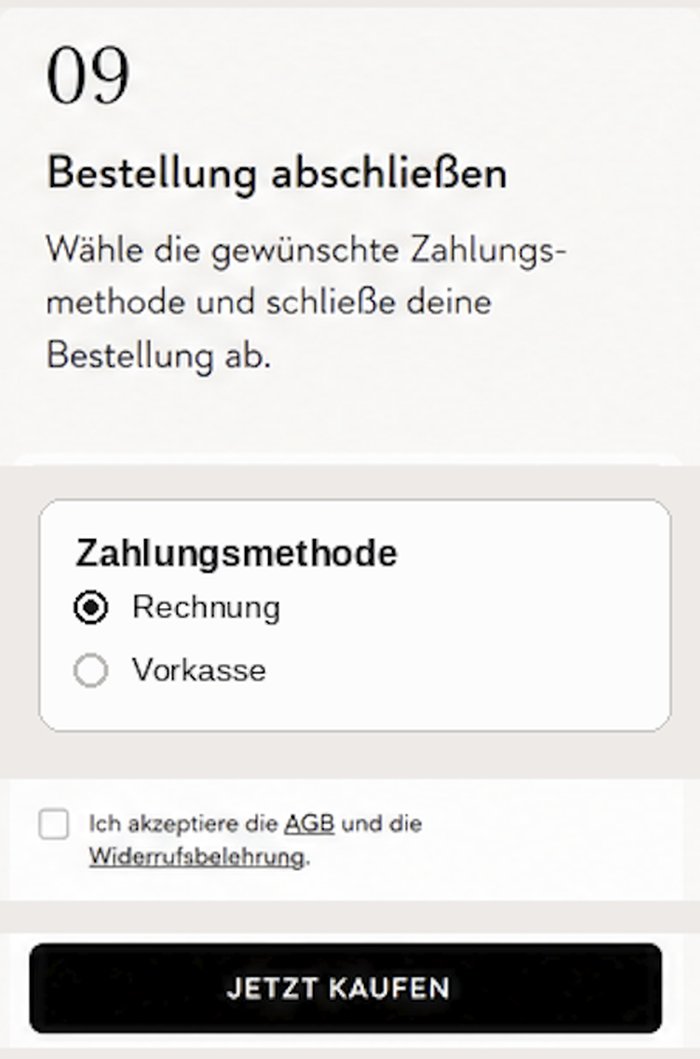 Schritt 9: Bestellung abschließen